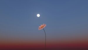 escorpio luna de flores ✨🌕 Luna Llena en Escorpio 12/05/2025 : La profundidad que Libera ✨🌕
