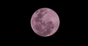🌕 Luna Llena en Sagitario: Rituales, Energías y Guía por Signo para la Luna de Fresa 🌿✨